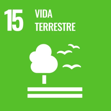 ODS 15 - Vida terrestre